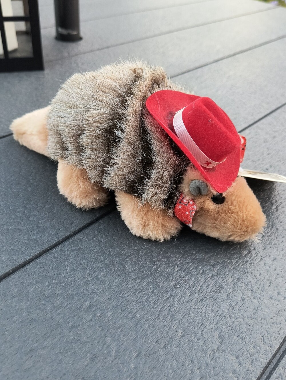 Yippie Yi Yay Armadillo Plush Stuffed Animal Texas Mascot Red Bandana & Hat NWT